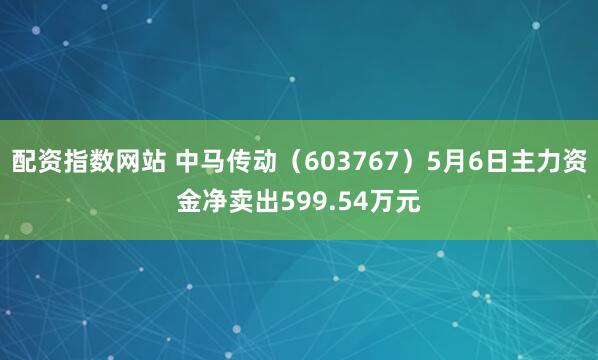 配资指数网站 中马传动（603767）5月6日主力资金净卖出599.54万元